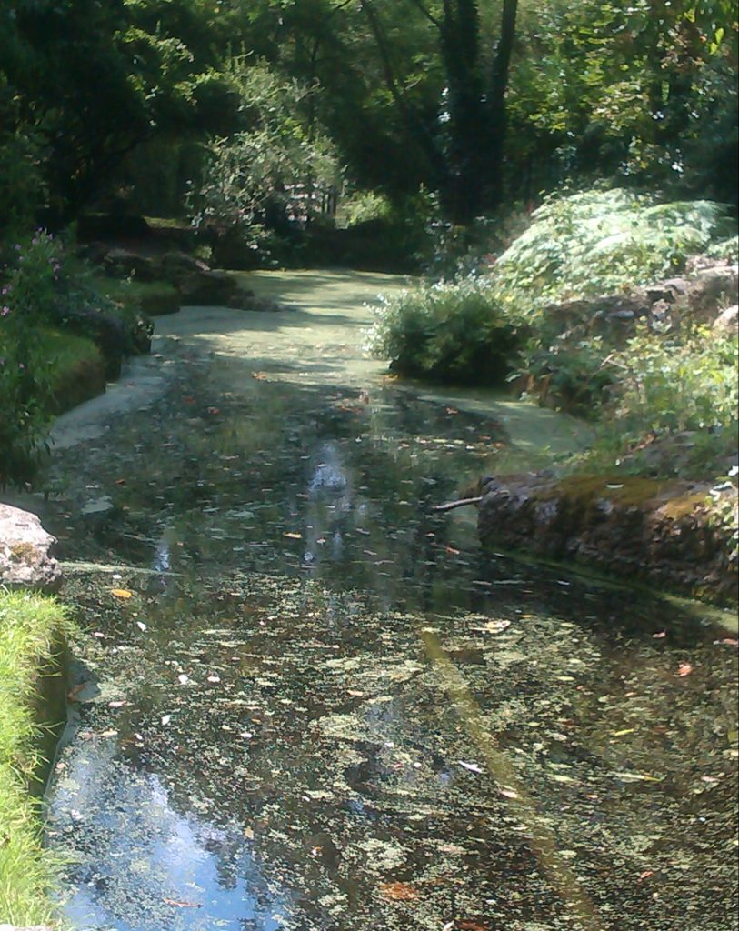 Waterspirit