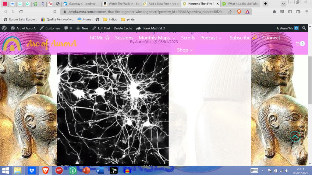 neurons